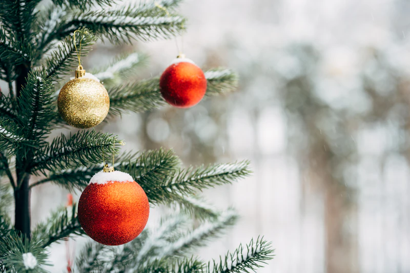Holiday FY22 Stocksy 6