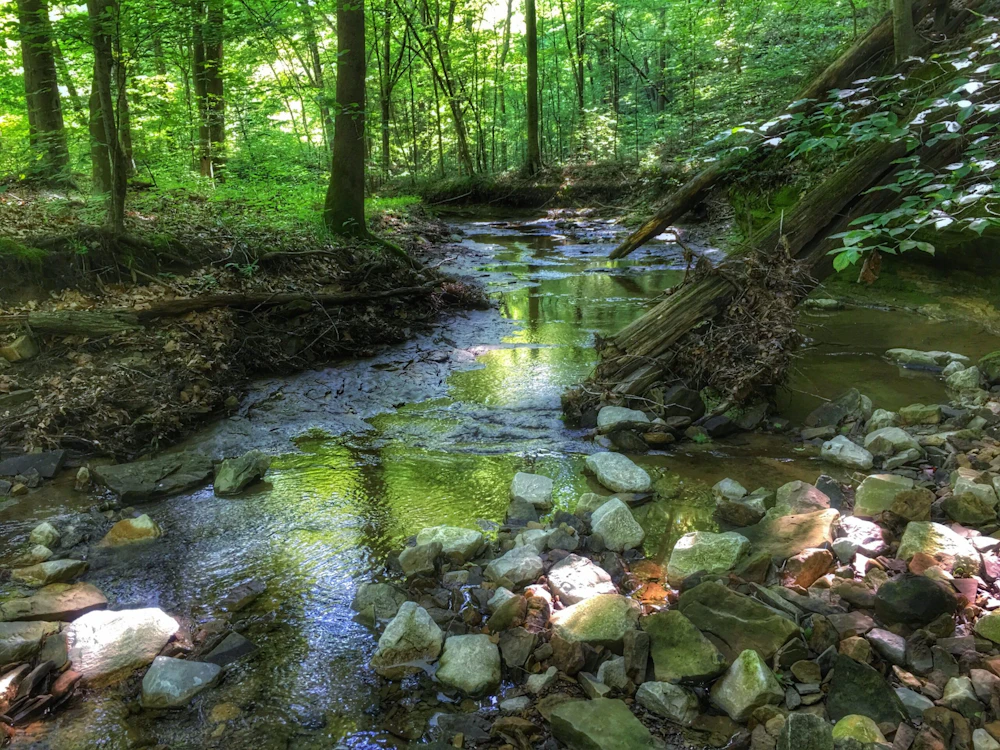 Hoosier NF Potts Creek Kathleen Ferguson