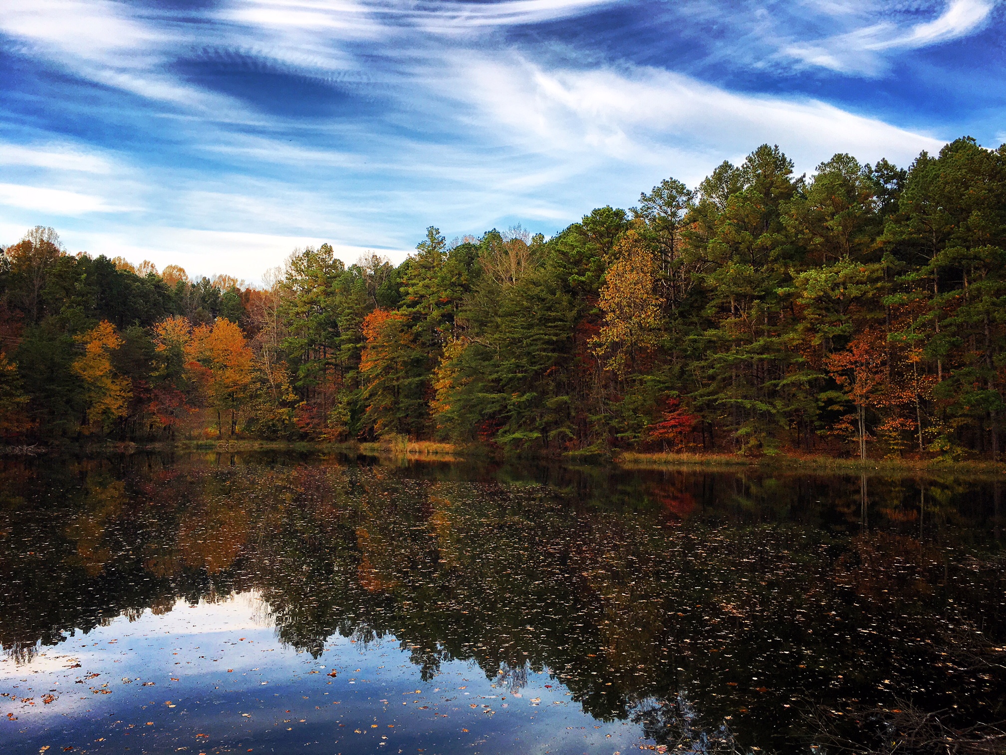 Hoosier National Forest — National Forest Foundation