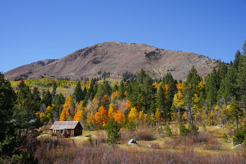 Mountain cabin surrounded by fall colors.