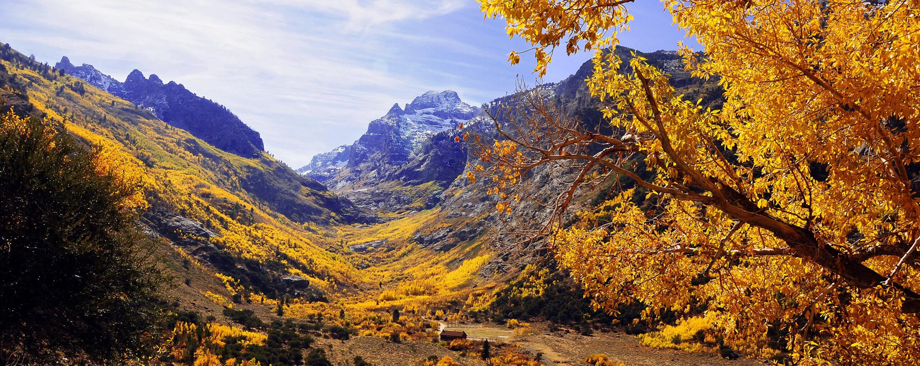 Humboldt-Toiyabe-NF Lamoille-Canyon Susan-Elliot-1