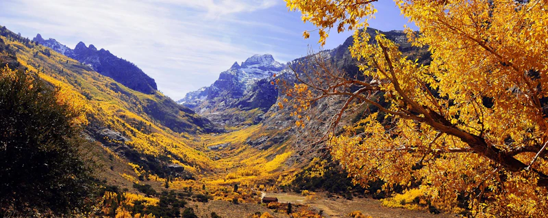 Humboldt-Toiyabe-NF Lamoille-Canyon Susan-Elliot-1