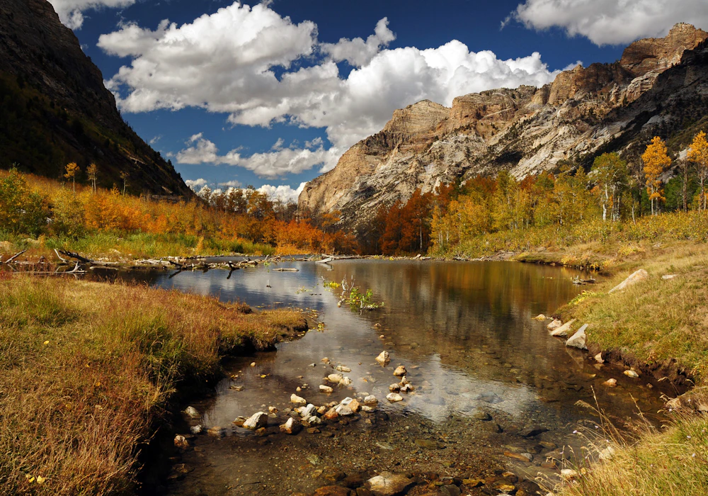 Humboldt-Toiyabe-NF Lamoille-Canyon Susan-Elliott-USFS