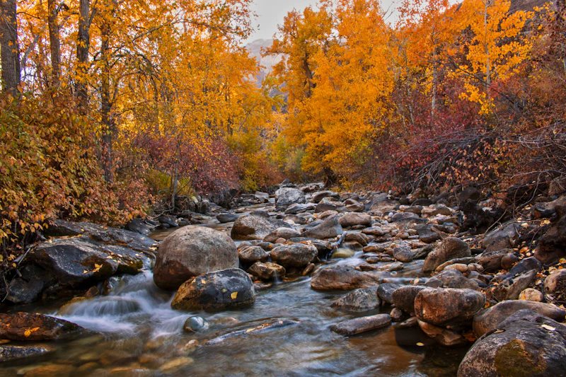 Fall creek.