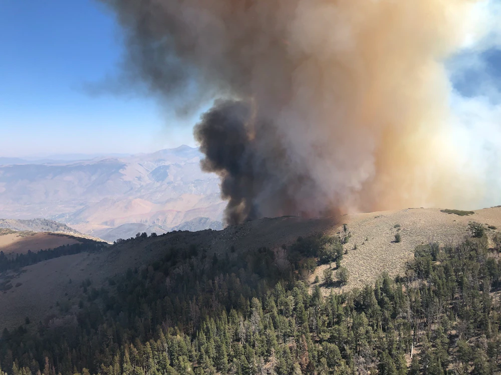 Humboldt Toiyable Nf Slink Fire 2020 Usfs