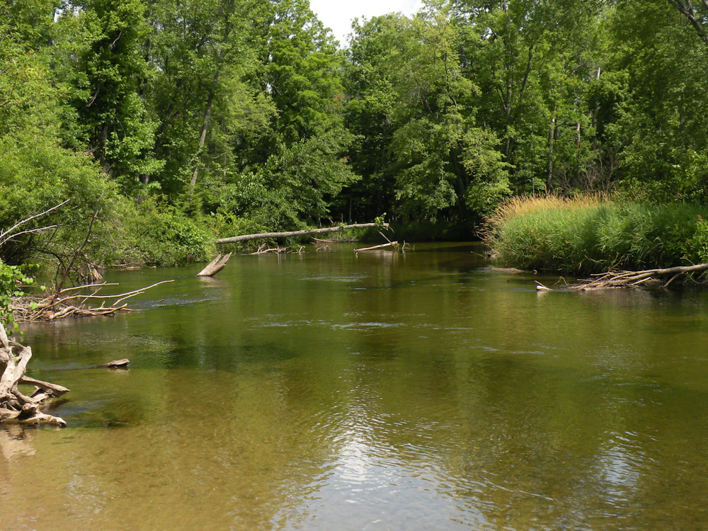 Huron Manistee NF Pere Marquette River USFS