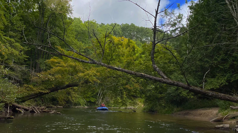 Raft floats down a river surrounded by greenery.