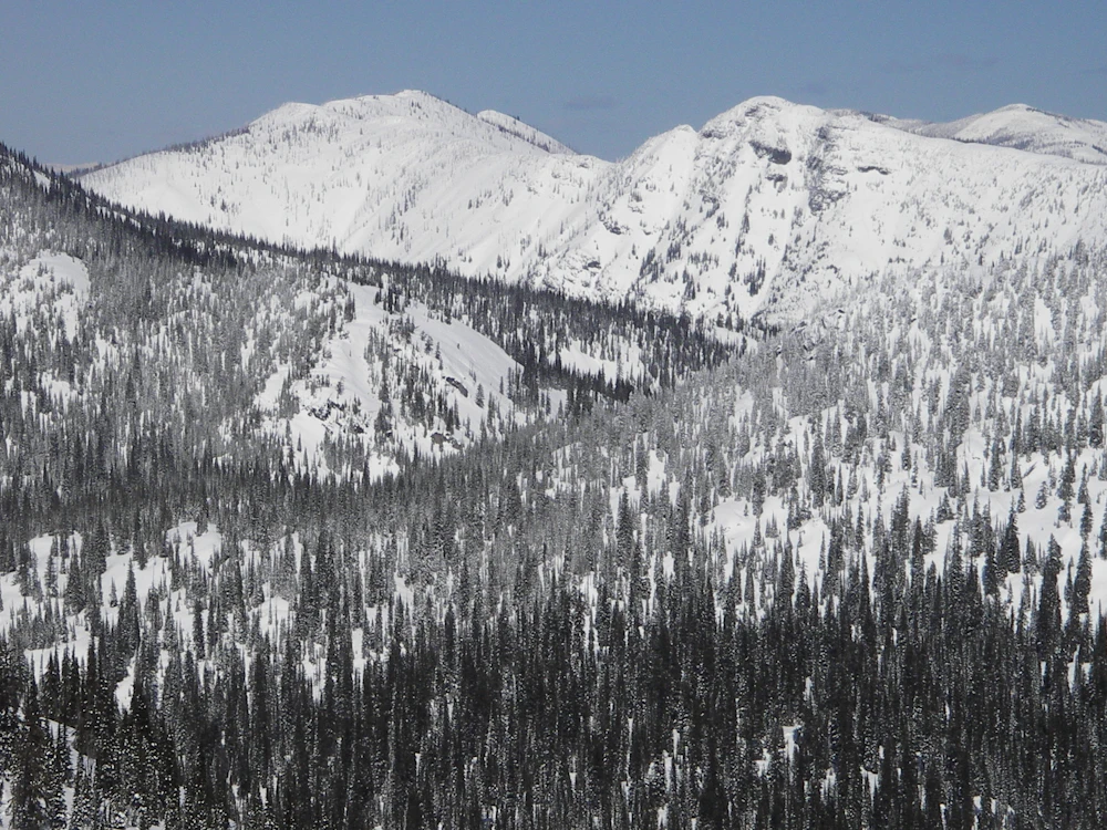 IDPH-NF- nlightning USFS