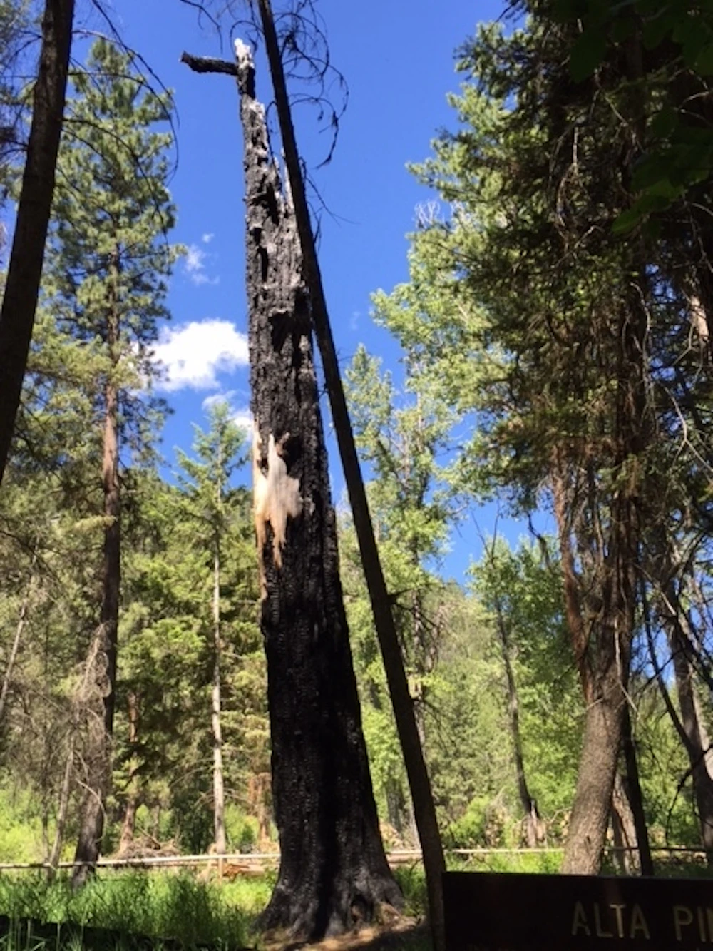 A Weekend Trip Back in Time on the Bitterroot — National Forest Foundation
