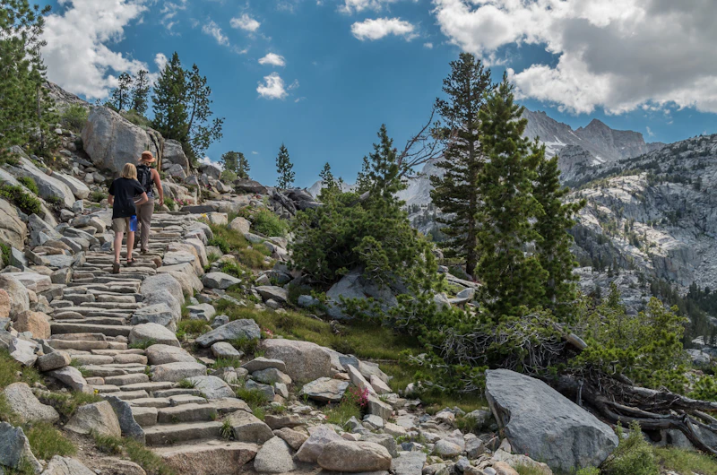 hikers climb stone steps in a forest