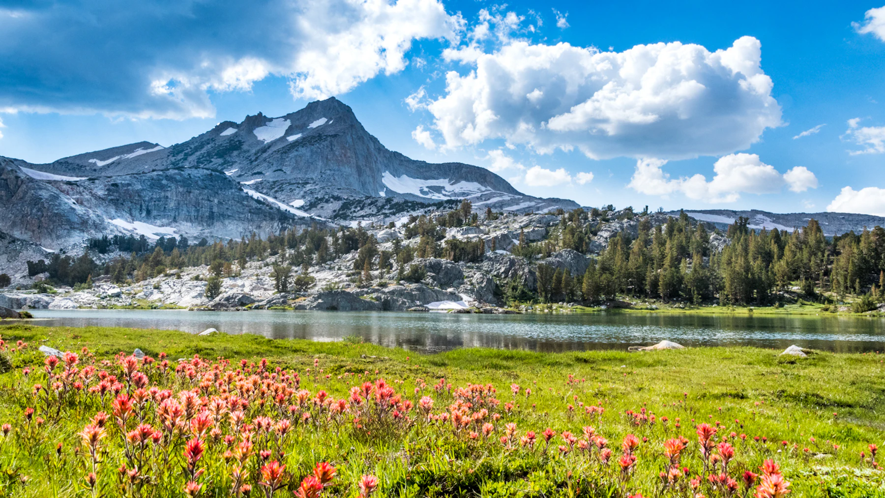 Inyo Nf Greenstone Lake Douglas Croft