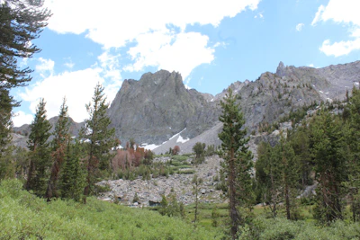 Inyo NF Sky Meadow USFS