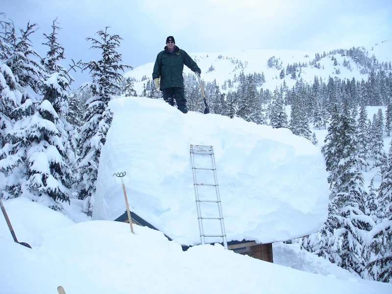 January-Moller-Outhouse-Steve