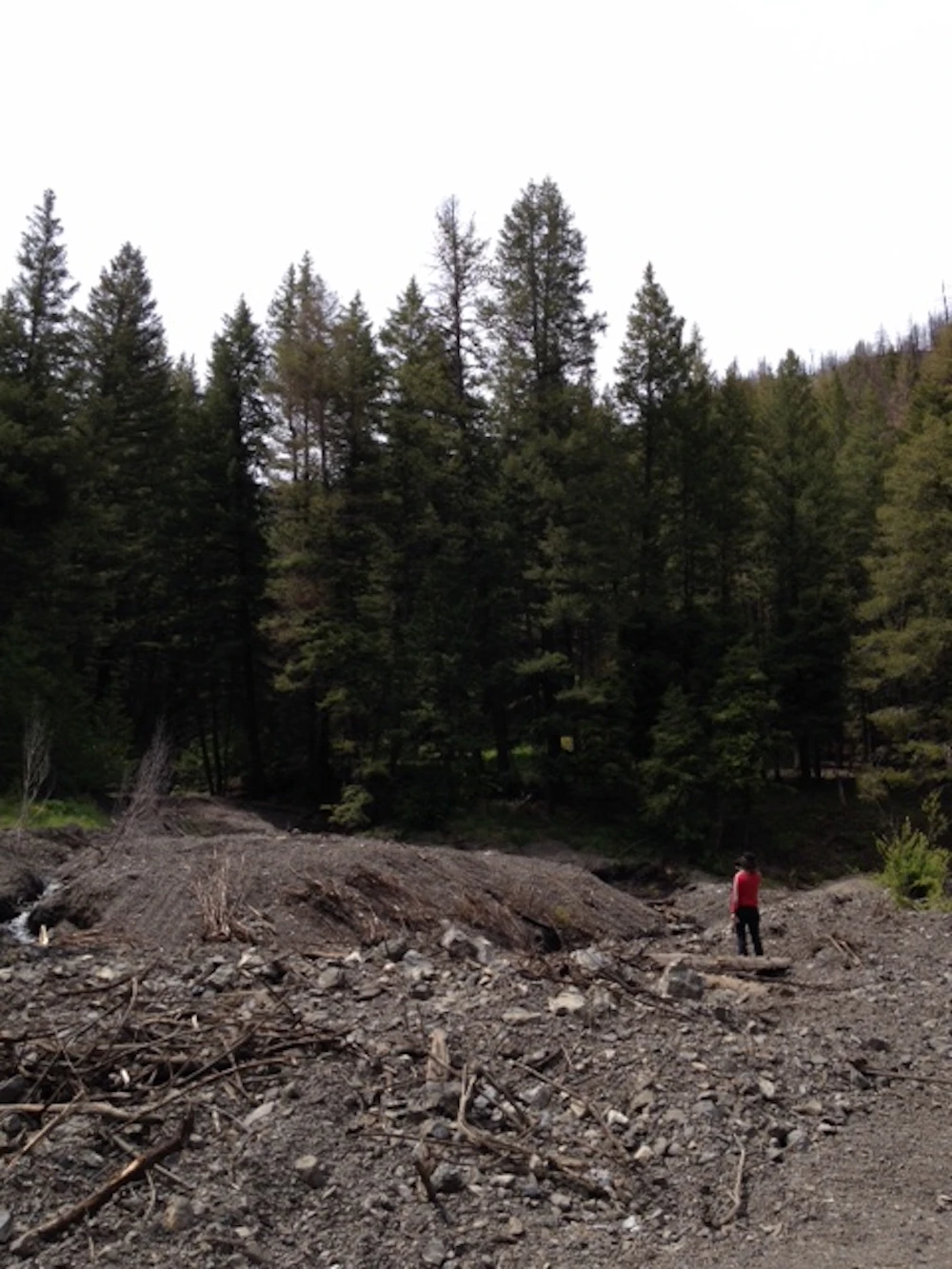 June-4-2015-Deer-Creek-road-washout