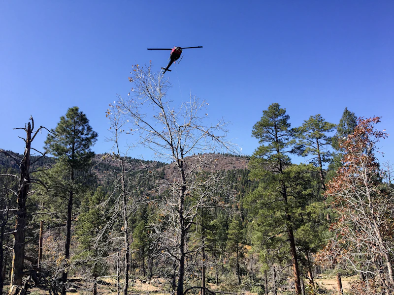 Kaibab Nf Bill Williams Mtn Usfs 2