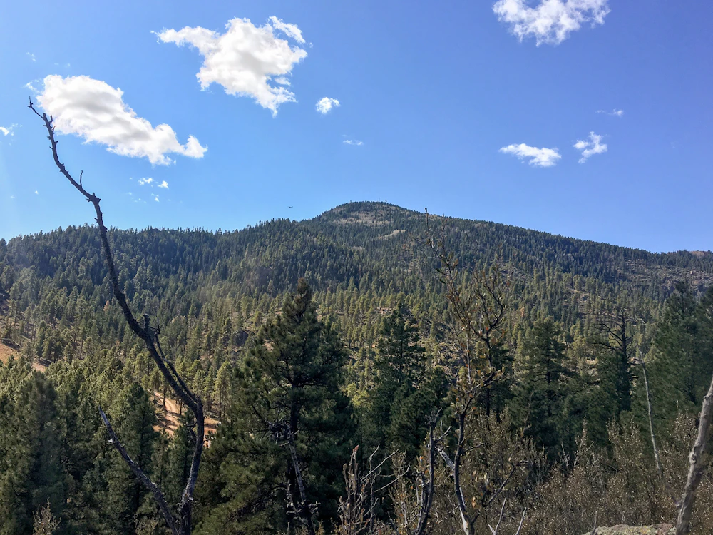 Kaibab Nf Bill Williams Mtn Usfs