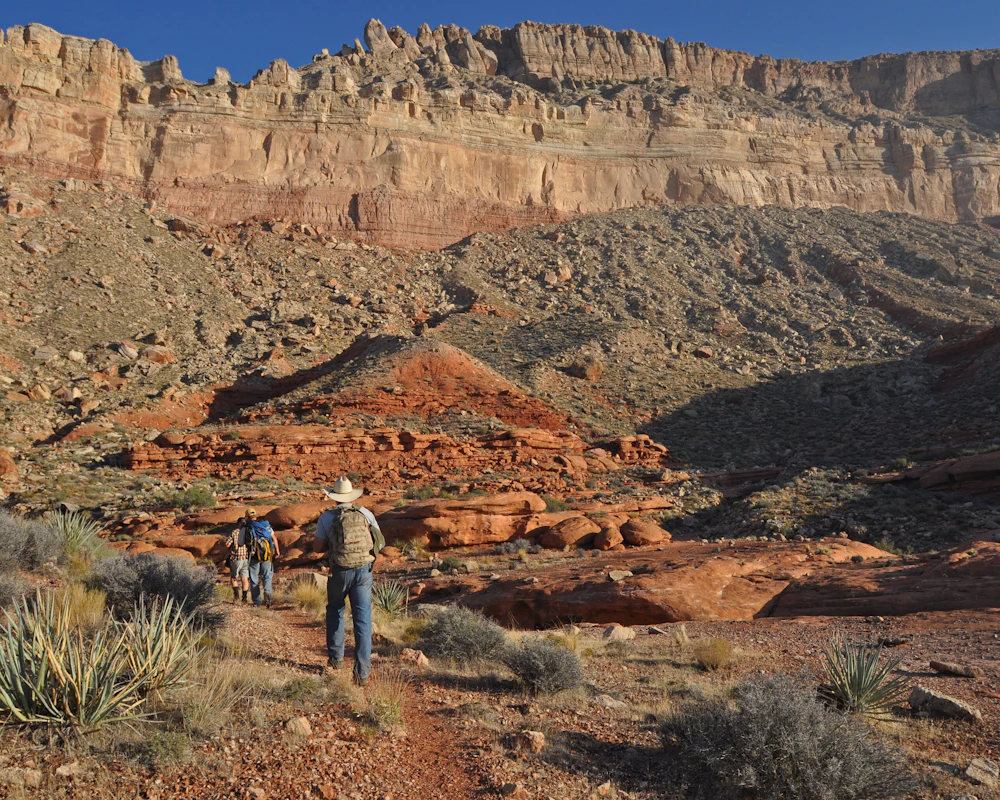 hikers walk on a trail towards a desert mesa