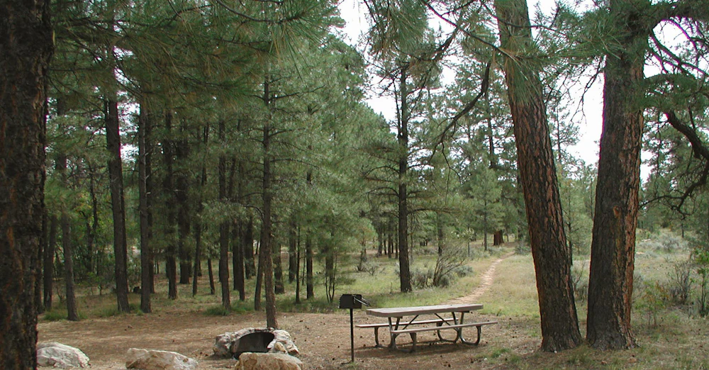 Kaibab Nf Ten X Campground