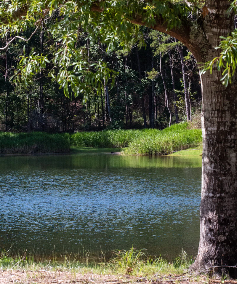 Lake.