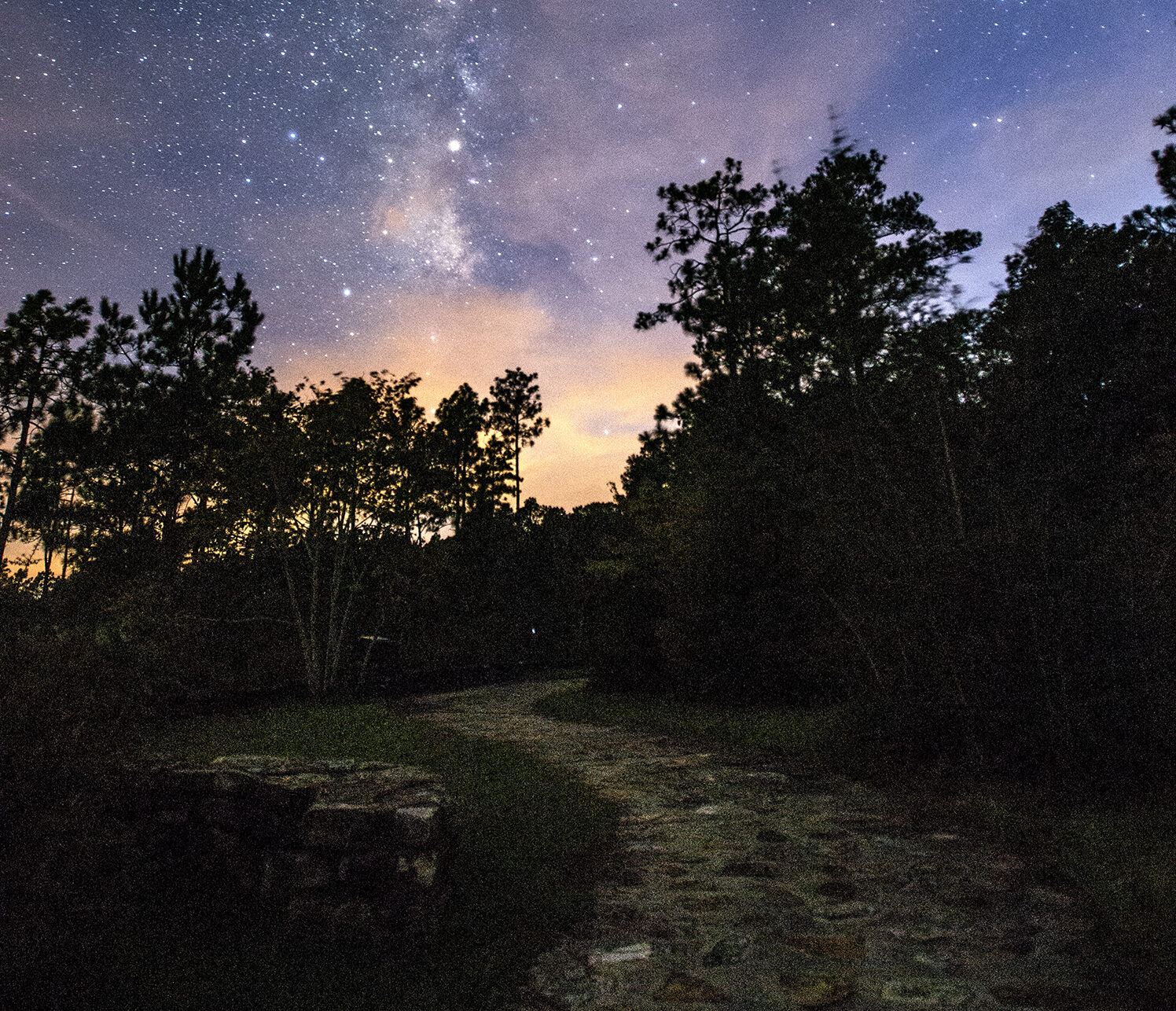 Trail under a starry night.