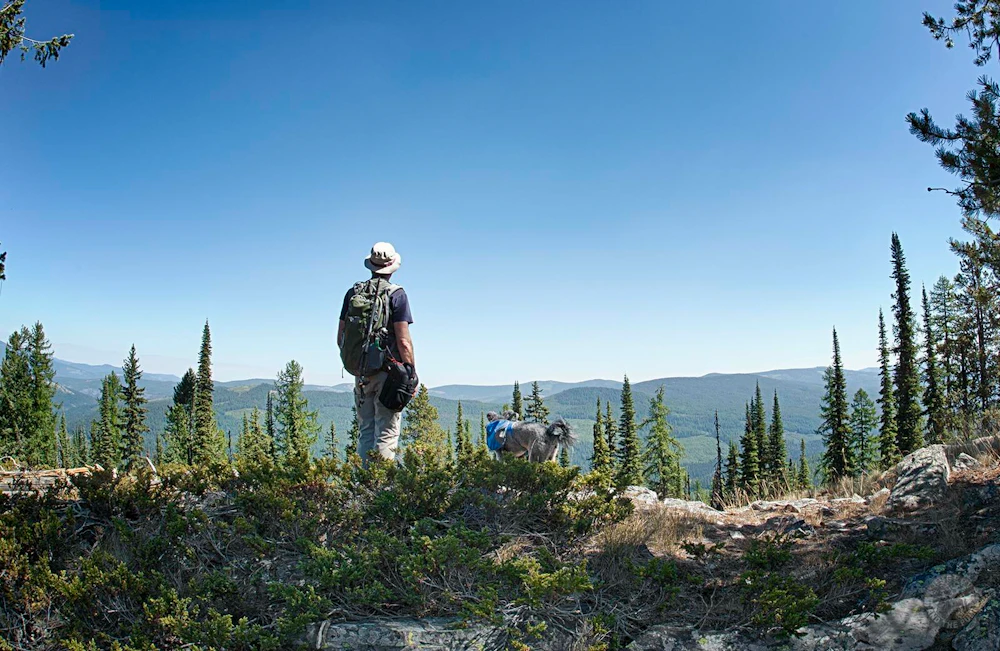 Kootenai NF Big Creek Baldy LO Terry Musgrove CREDIT 5
