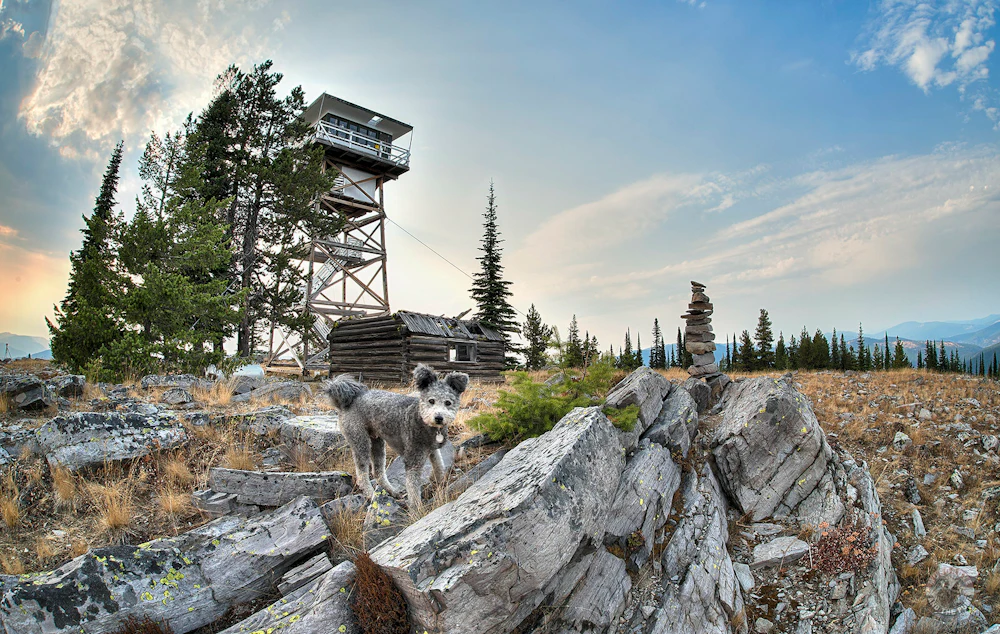Kootenai NF Big Creek Baldy LO Terry Musgrove CREDIT 8