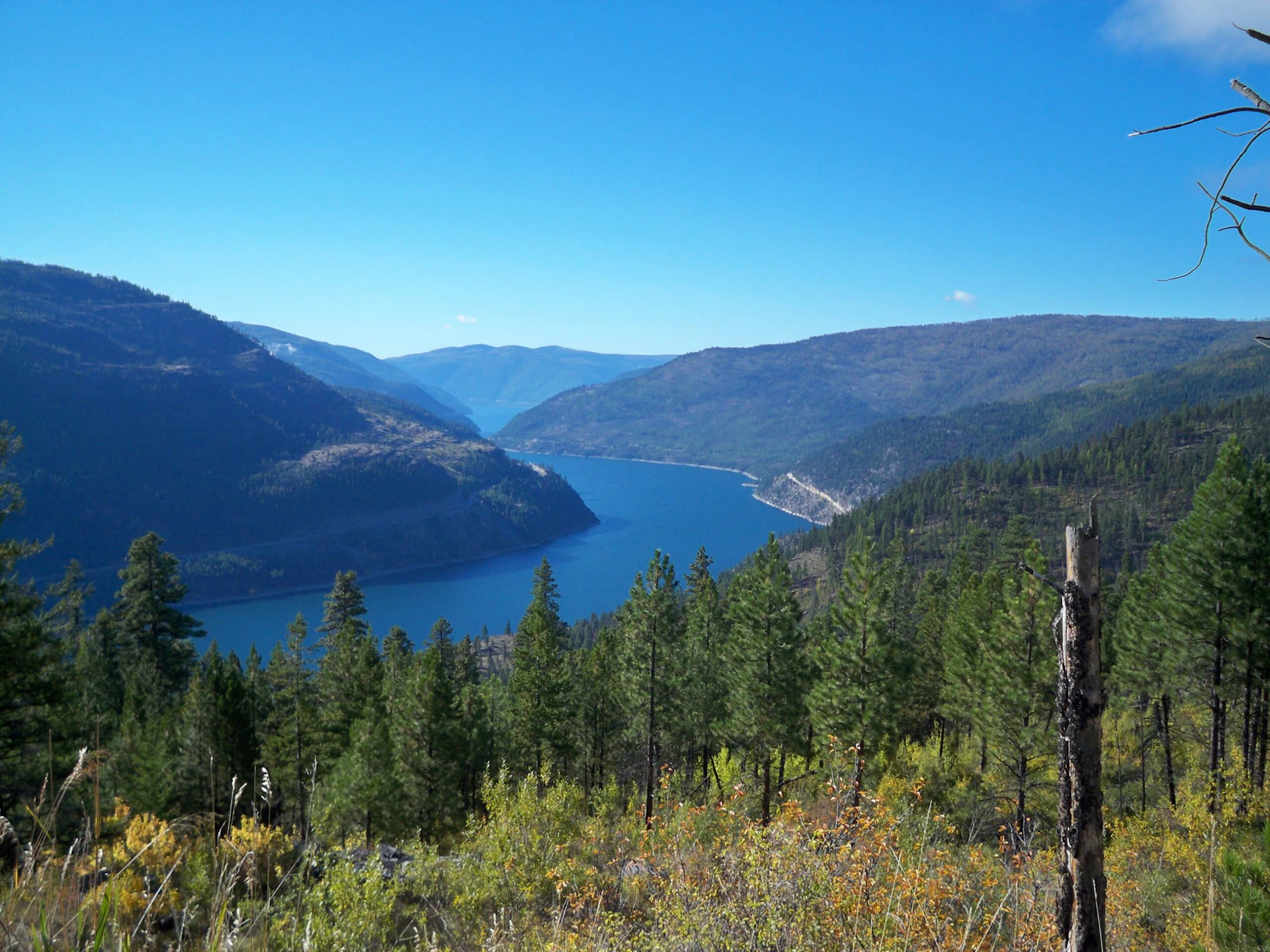 Kootenai-NF Koocanusa-Area USFS