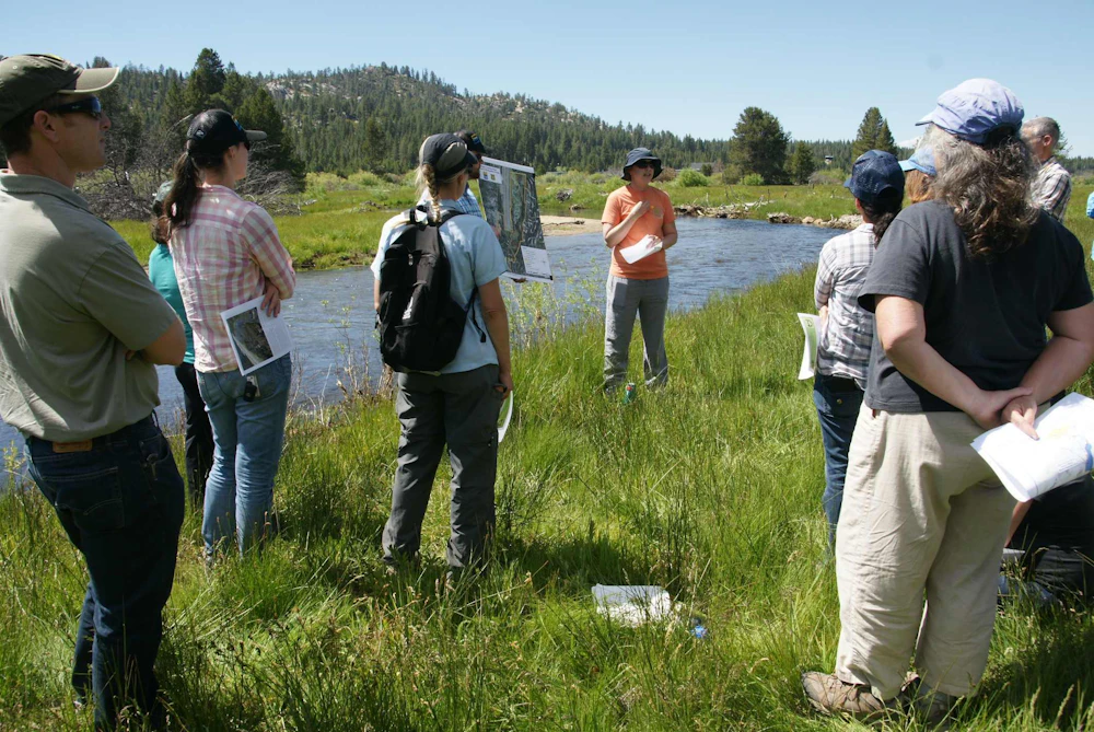LTW Field Visit 6 12 18 Upper Truckee Reach 5 Di Vittorio