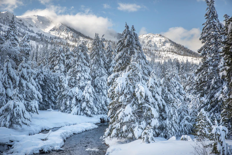 Upper Truckee River in Winter — Lake Tahoe Basin, California