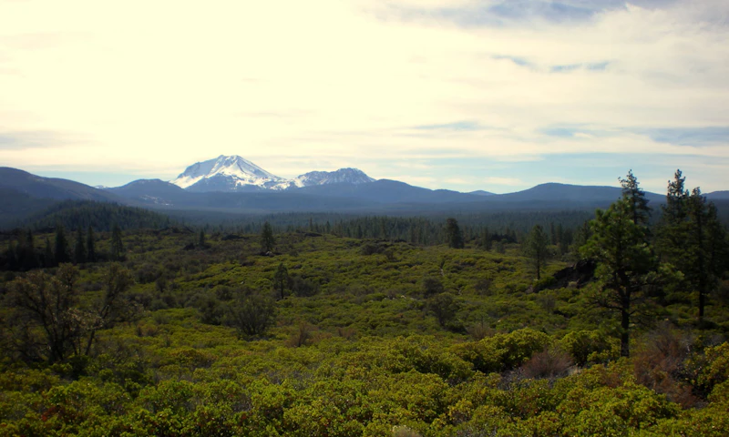 Snow capped mountains rise in the distance.