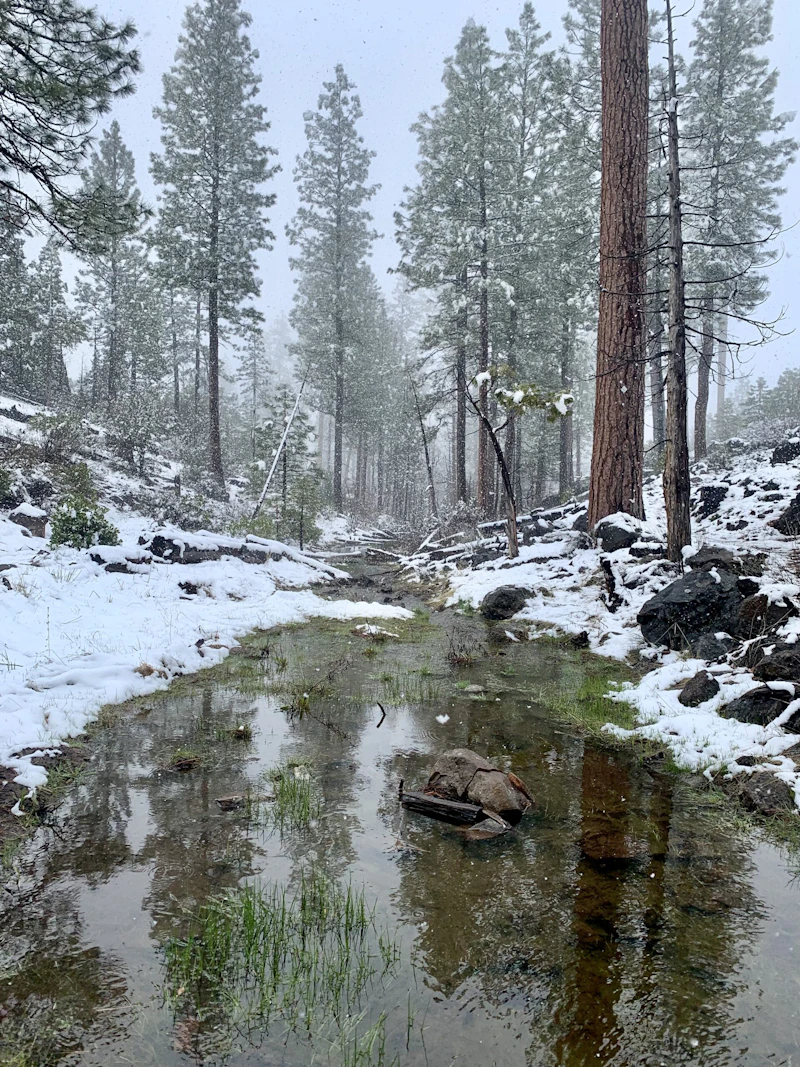 Snowy Creek.