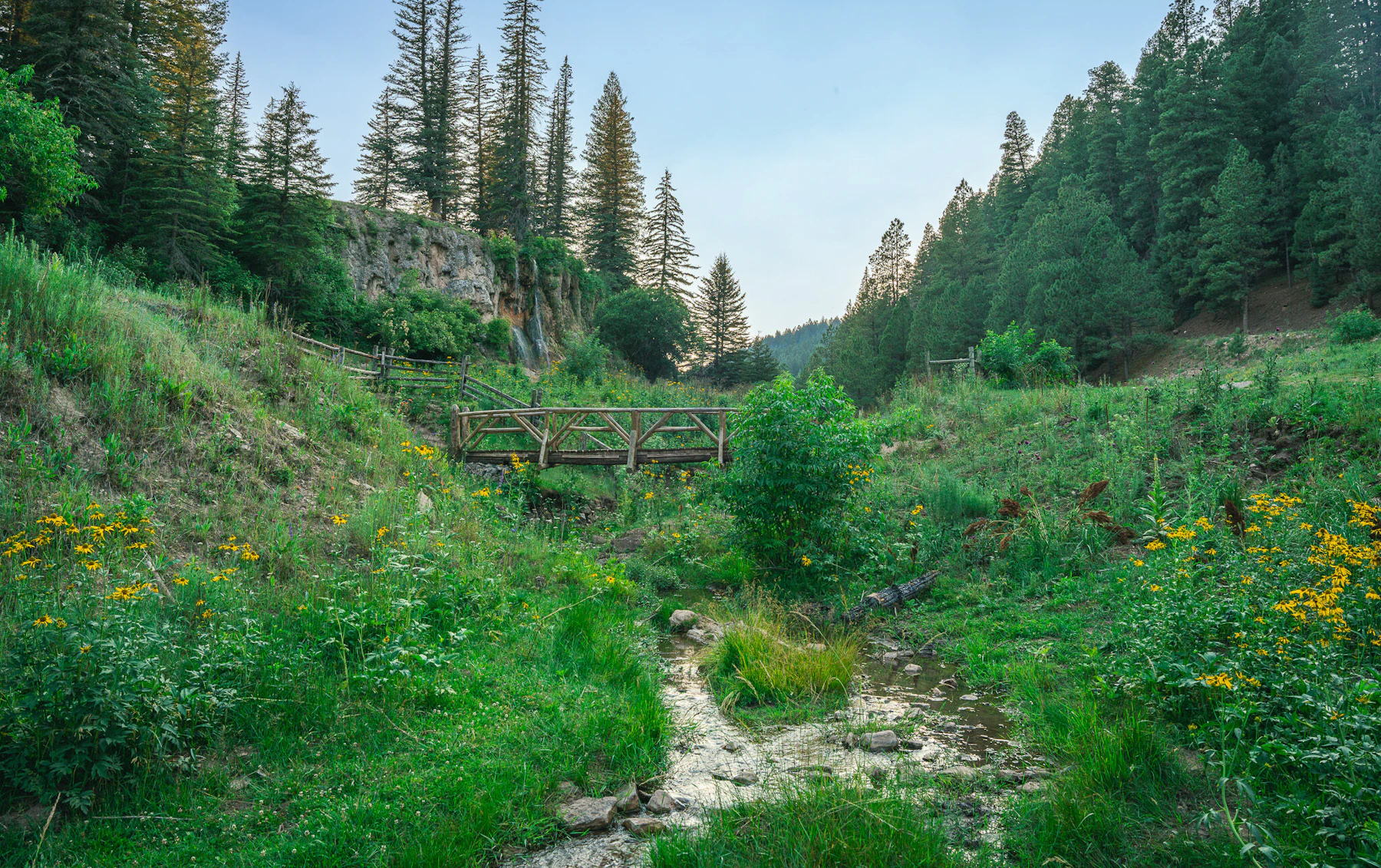 Trail bridge.