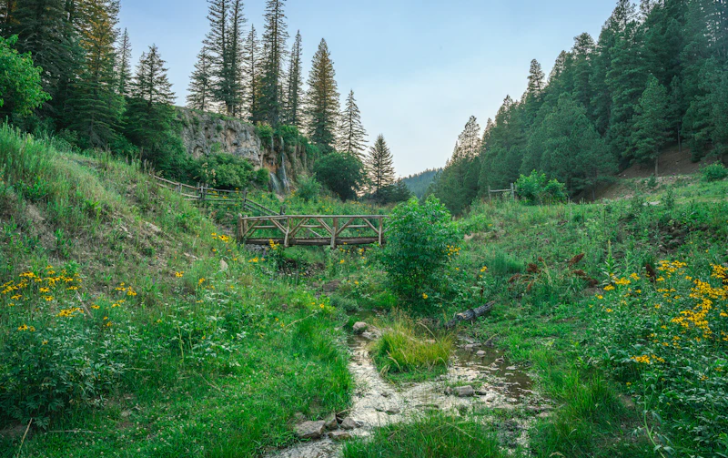 Trail bridge.