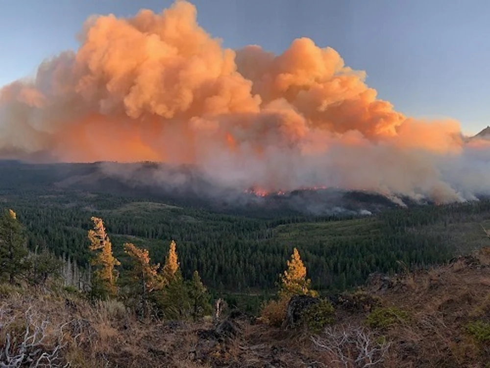 Lionshead Fire Willamette USDA Forest Service