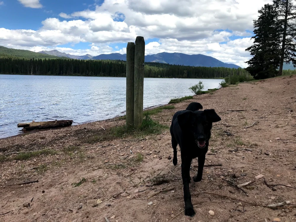 Lolo Nf Seeley Lake Zoe Bommarito