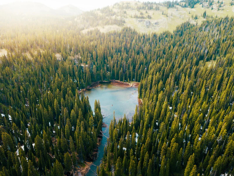 Lake.