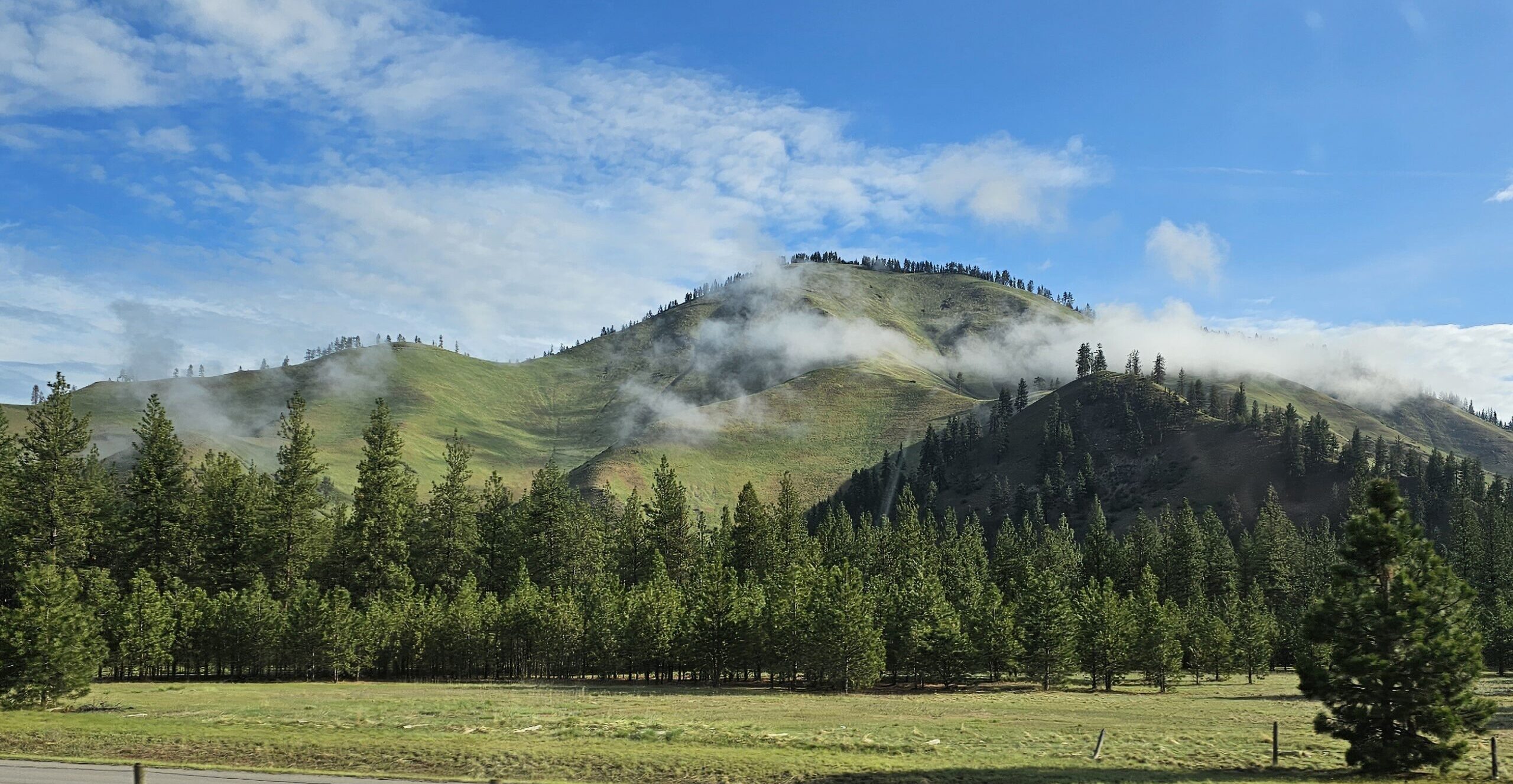 Lolo National Forest — National Forest Foundation
