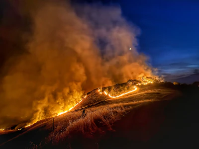 Wildfire burning the Los Padres National Forest.