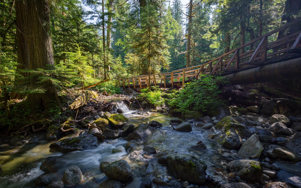 wooden bridge over a rocky creek
