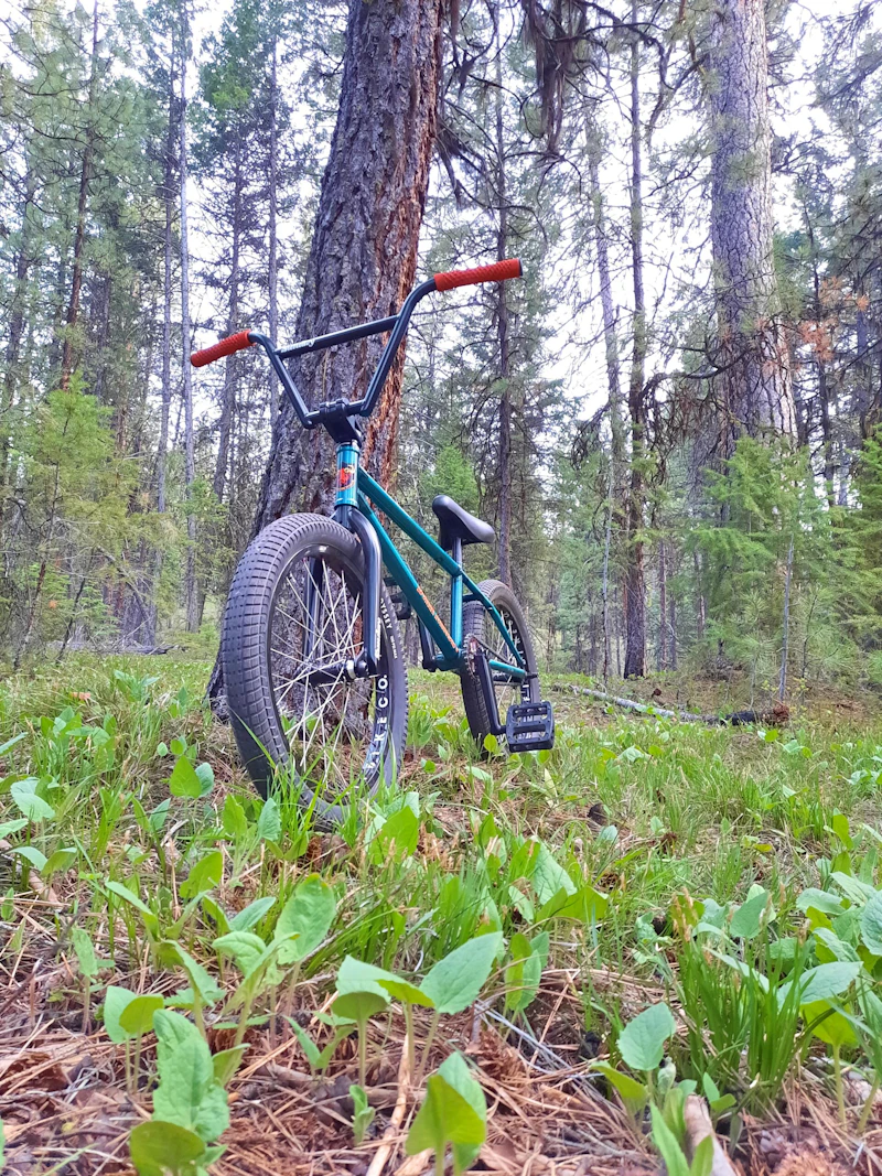 Bike.