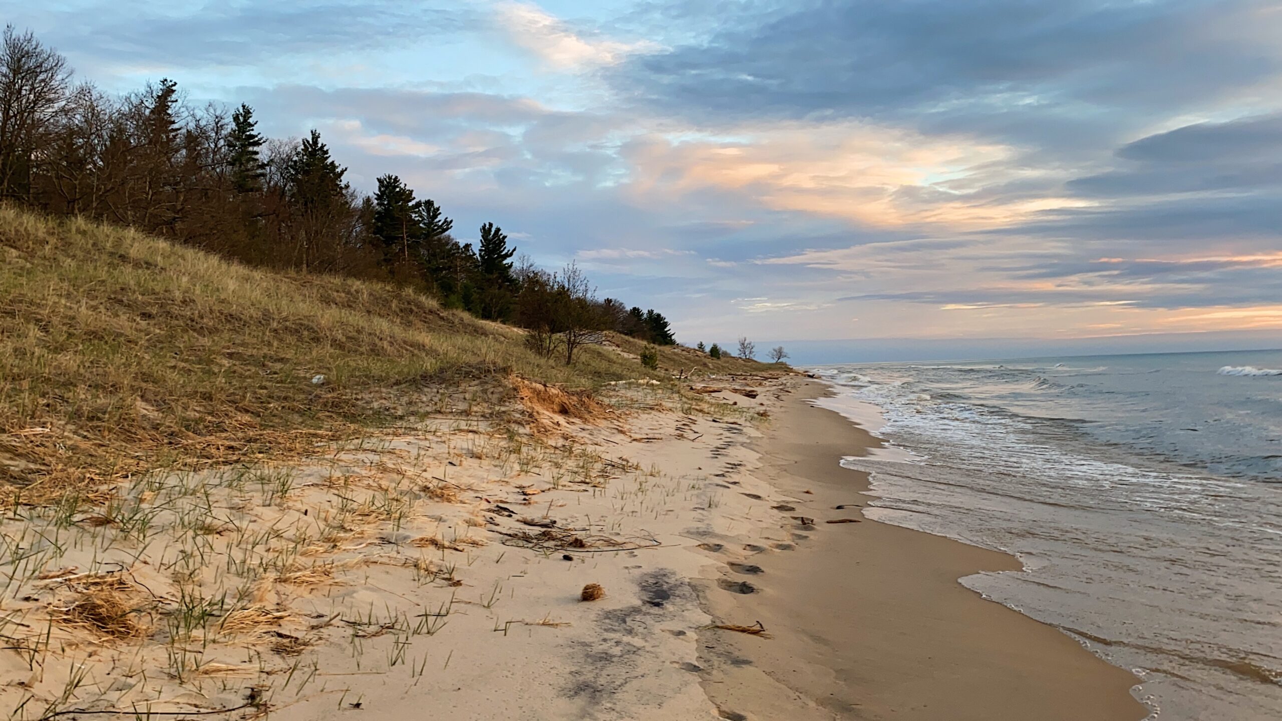 Sandy beaches of the Huron-Manistee National Forest.