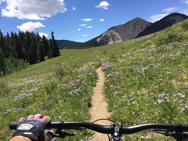 Biker on a trail surrounded by wildflowers.