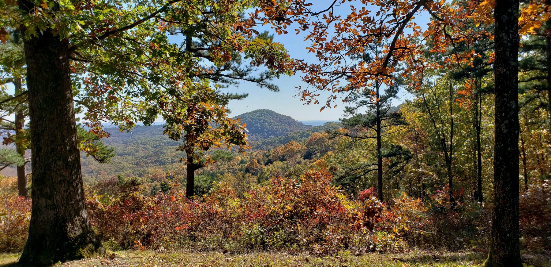 Mark Twain NF Glade Top Trail Debbie Wray