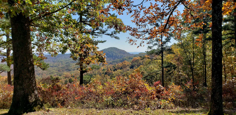 Mark Twain NF Glade Top Trail Debbie Wray