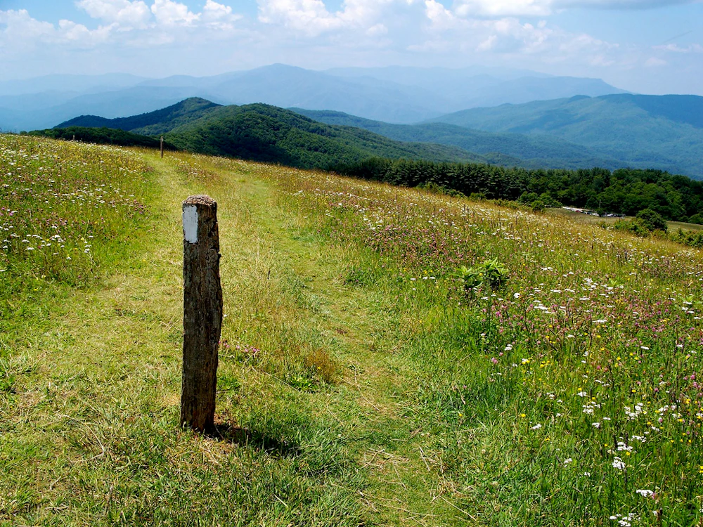 Max Patch