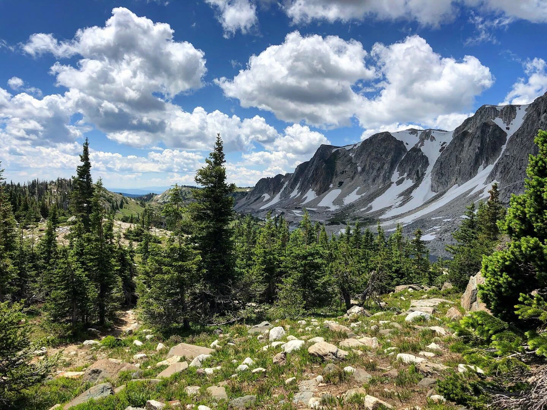 Medicine Bow Nf Jessica Hubbard 1067
