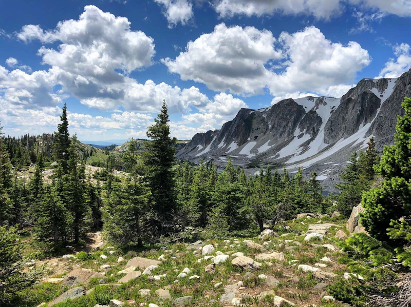 Medicine Bow Nf Jessica Hubbard 1067