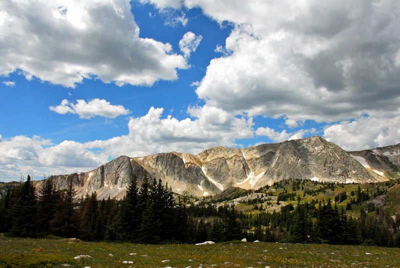 Medicine-Bow-Routt-NF Snowy-Range Rick-Cummings