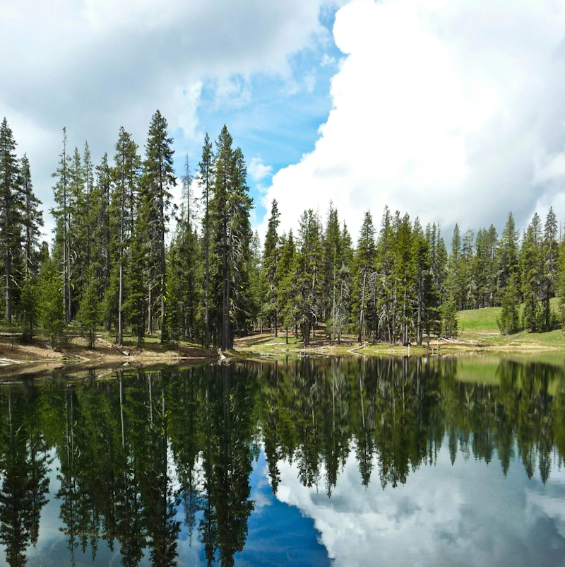 Lake.