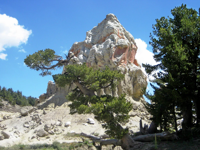 Volcanic rock formation.